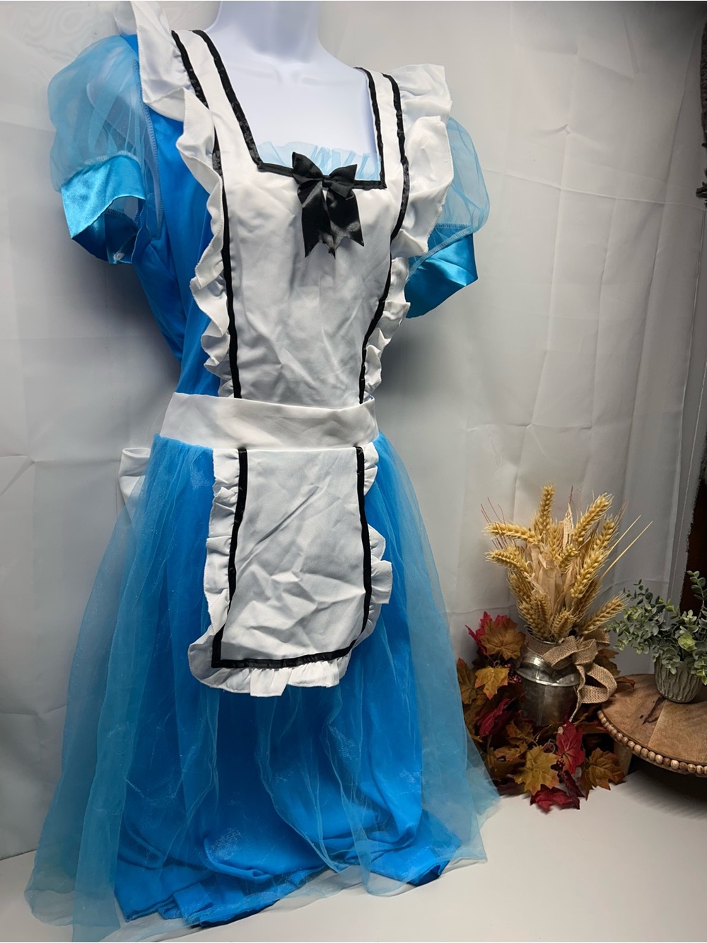 Blue Alice in Wonderland Costume with White Apron